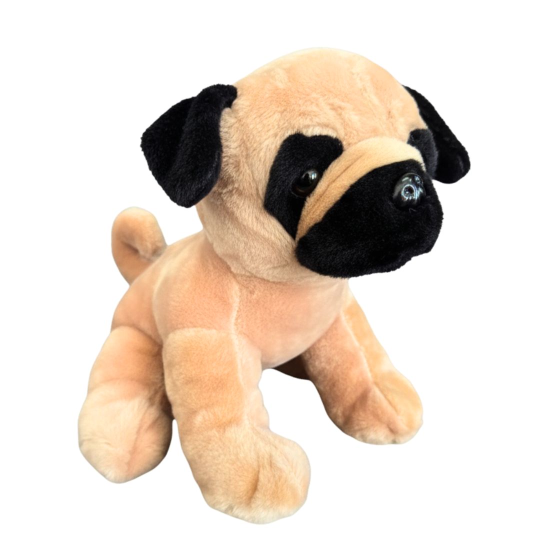 Mops Moppel der kleine Sohn von Bob