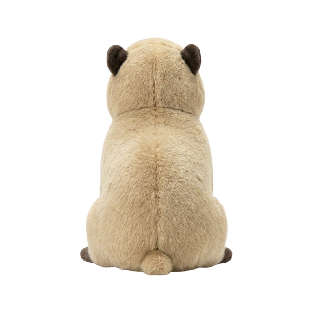 Cleo Capybara 🦫 - Highlight 2025-26 ❤️‍🔥