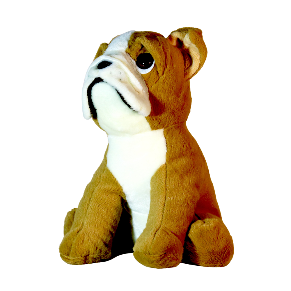 Bulldogge Bob  Flauschi